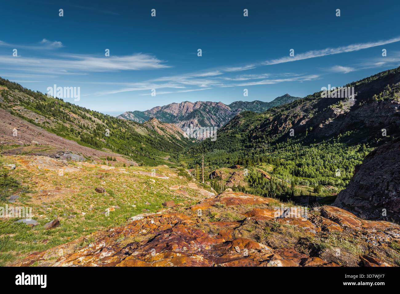 panoramablick auf das Bergtal mit farbenfrohen orangen Felsformationen und weit entfernten, geschichteten Gipfeln vom Lake Blanche Trail Utah Stockfoto