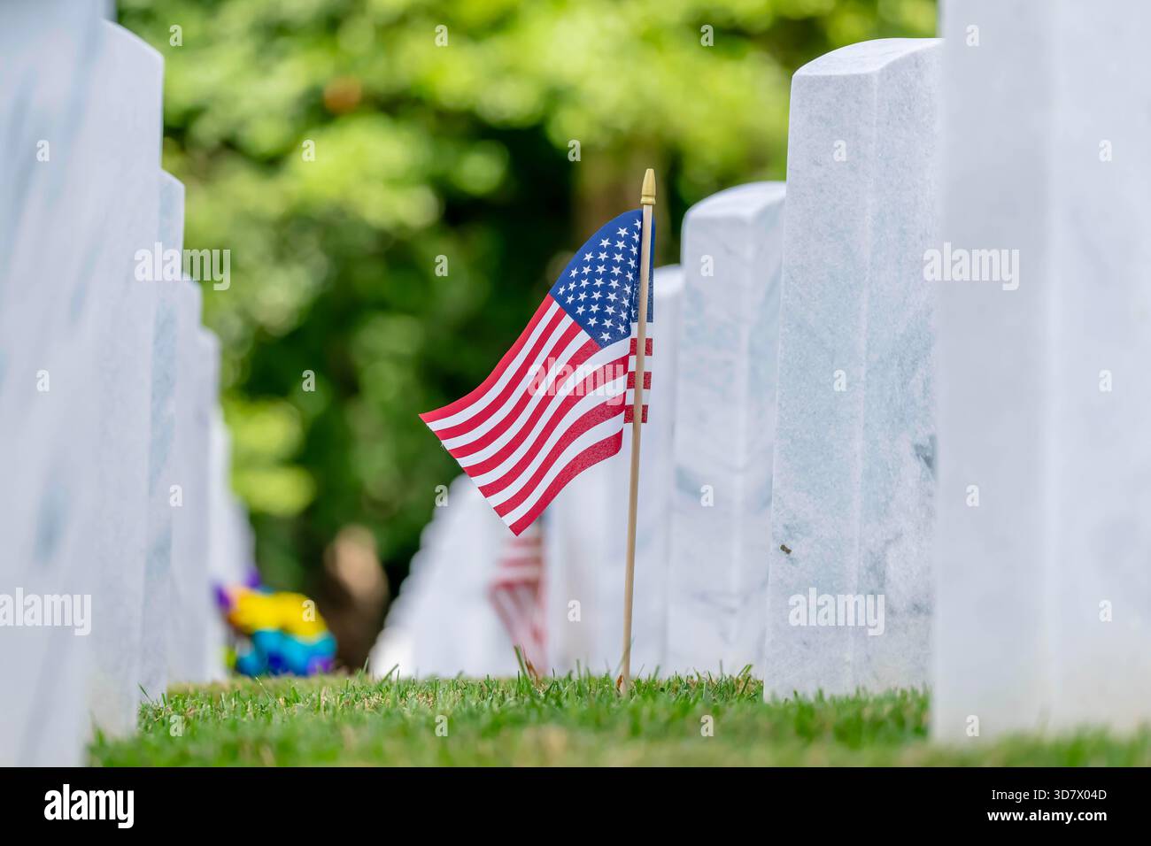 Reihen von militärischen Marmorgrabsteinen stehen in präziser Ausrichtung, verziert mit Blumen und amerikanischen Flaggen. Das ruhige Feld spiegelt tiefen Respekt und würde für die gefallenen Helden wider, die unserem Land dienten. Stockfoto