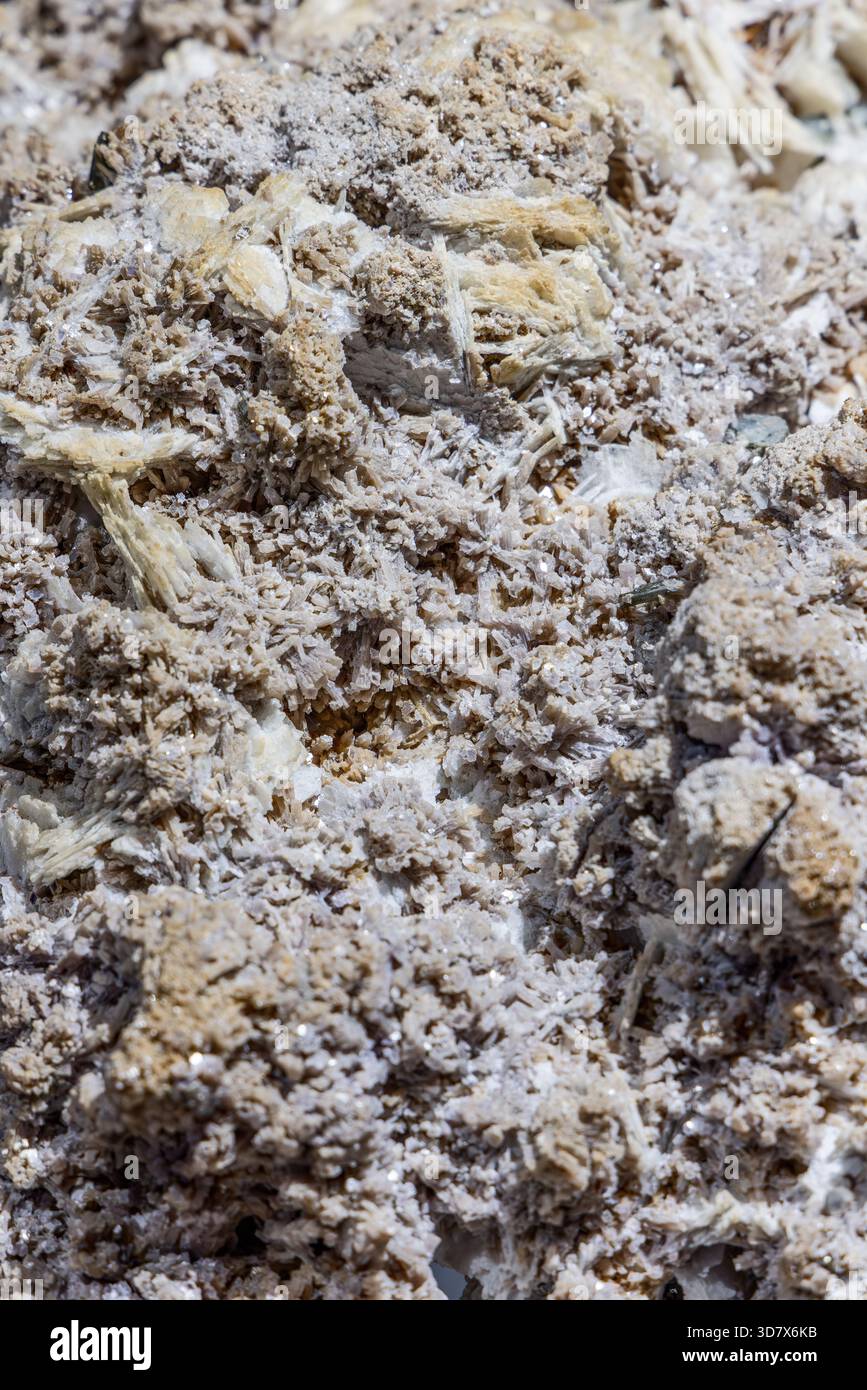 Gips-Kristall-Aggregat-Mineralprobe, beige und weiße faserige Kristalle bilden dichte Kluster mit glitzernder Oberflächentextur, aufgenommen im Makro. Stockfoto