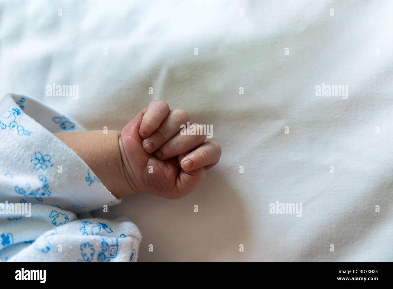 Neugeborene Babyhand in einer winzigen Faust schlafend Stockfoto