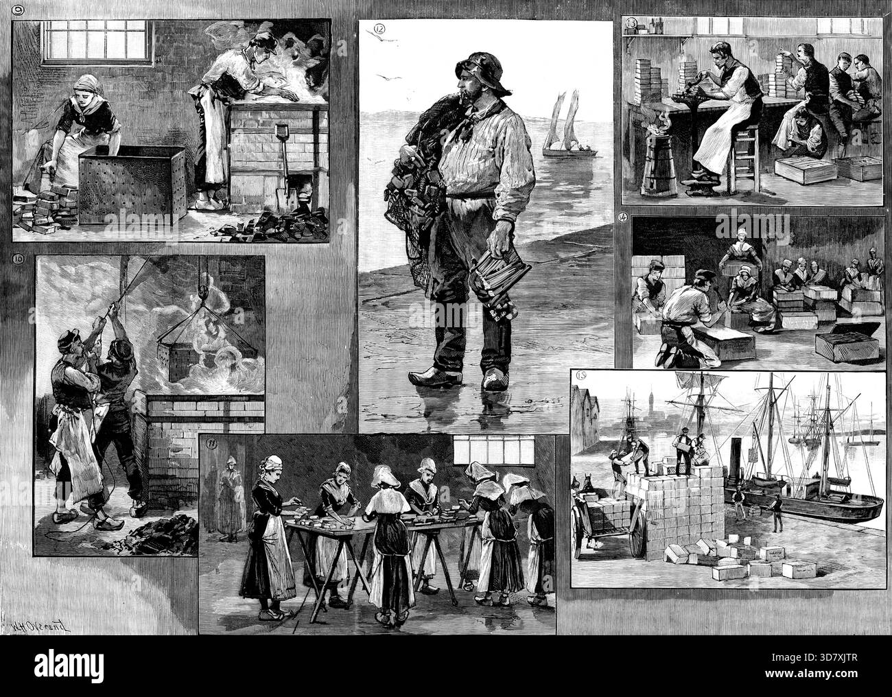 Die Französische Sardinenindustrie, 1890. "9. Kochen. 10. Rückzug aus Kessel. 11. In Blechboxen legen. 12. Sardinenfischer. 13. Lötzinn. 14. Verpackung. 15, Versand. An den westlichen Küsten Frankreichs und der Bretagne... diese fishery...probably...supports mehr als 100.000 der Bevölkerung... sind... mit Salz bestreut, die Köpfe werden abgenommen und gesalzen. Die Fische werden gewaschen und dann auf Gridirons zum Trocknen gelegt... dann in kochendem Öl frittiert, von guter Qualität, während zwei, drei oder vier Minuten, laut size...in ein gut ausgestattetes Haus, 150.000 oder 200.000 Sardinen Stockfoto