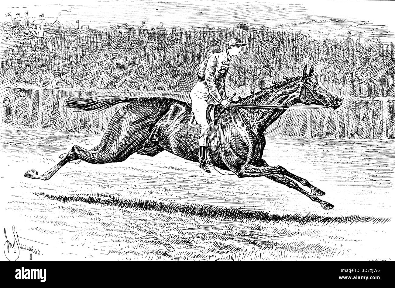 Sainfoin, The Winner of the Derby: The Previant Galopp, 1890. "Das Ergebnis des Wettkampfs um die Derby Stakes beim Epsom Spring Meeting am Mittwoch, 4. Juni, wurde in unserer letzten Veröffentlichung bekannt gegeben. Das Siegerpferd war Sir James Millers Sainfoin, dessen Vater Springfield war, seine Mutter Sanda. Er wurde von Watts geritten. Sir James Miller, dem man gratulieren muss, dass er das Derby bei seinem ersten Versuch gewonnen hat, hat das Glück, weil er Sainfoin vor etwa einem Monat von seinen gemeinsamen Besitzern, Sir Robert Jardine, und Mr. John Porter, dem Trainer von Kingsclere, gekauft hat, der ihn für 550 Meerschauen kaufte Stockfoto
