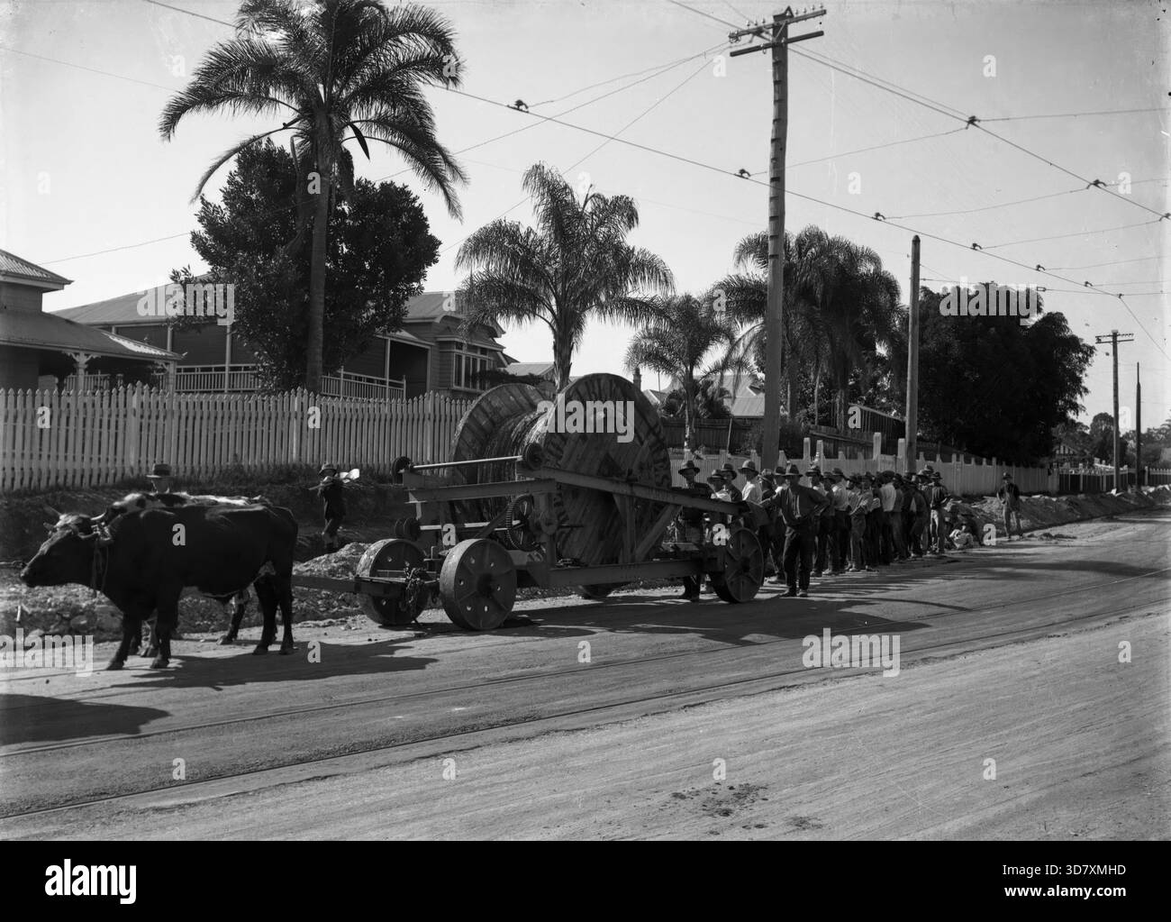 Verlegung von Stromleitungen - Wynnum Road, Norman Park (altes Geschäft ist Nr. 101 Wynnum Road), 1916. Stockfoto