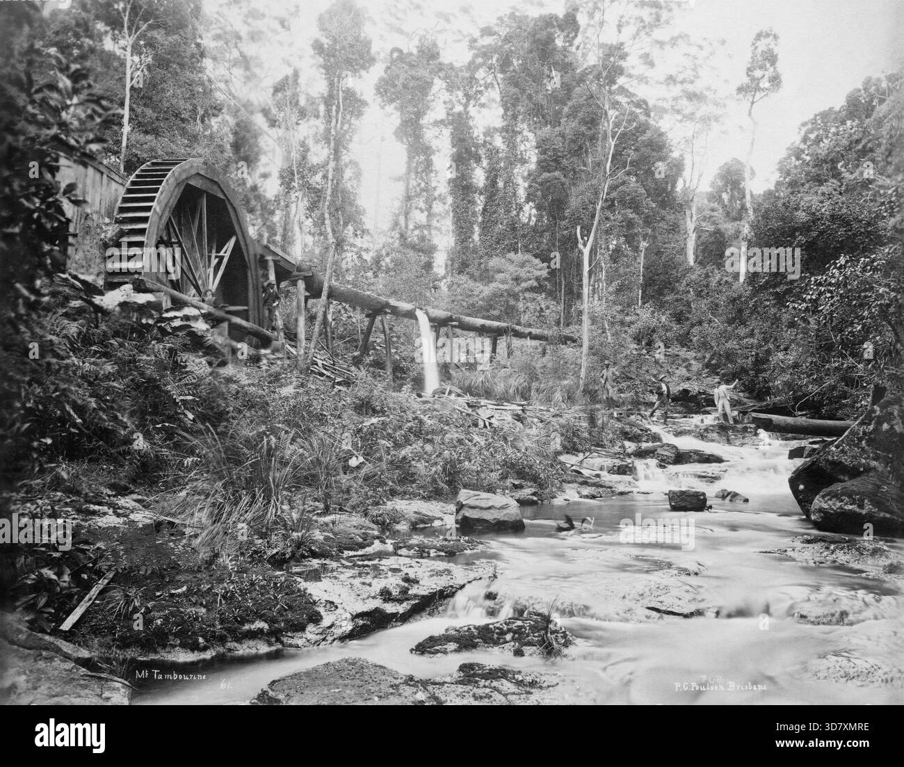 MT Tamborine Water Wheel, Queensland, 1892. Vier Männer in der Nähe des Wasserrades auf dem Tamborine. Zusätzliche Informationen: Das Wasserrad trieb eine Kreissäge an, um Holz um Curtis Falls, Mt. Tamborine, zu schneiden. Curtis Falls wurden nach der Familie Curtis benannt. Mehrere Geschwister zogen Ende der 1870er Jahre nach Tamborine Mountain, kurz nachdem die ersten Europäer auf dem Plateau ankamen. Vor und nach der Besiedlung war die Holzgewinnung ein Mittel, um den Lebensunterhalt zu verdienen, und zu verschiedenen Zeiten wurden mehrere Holzmühlen errichtet. 1889 bauten die Brüder Curtis, Sydney, Edgar und Clifford eine kleine Dampfmühle mit 73 m Wasserstand Stockfoto