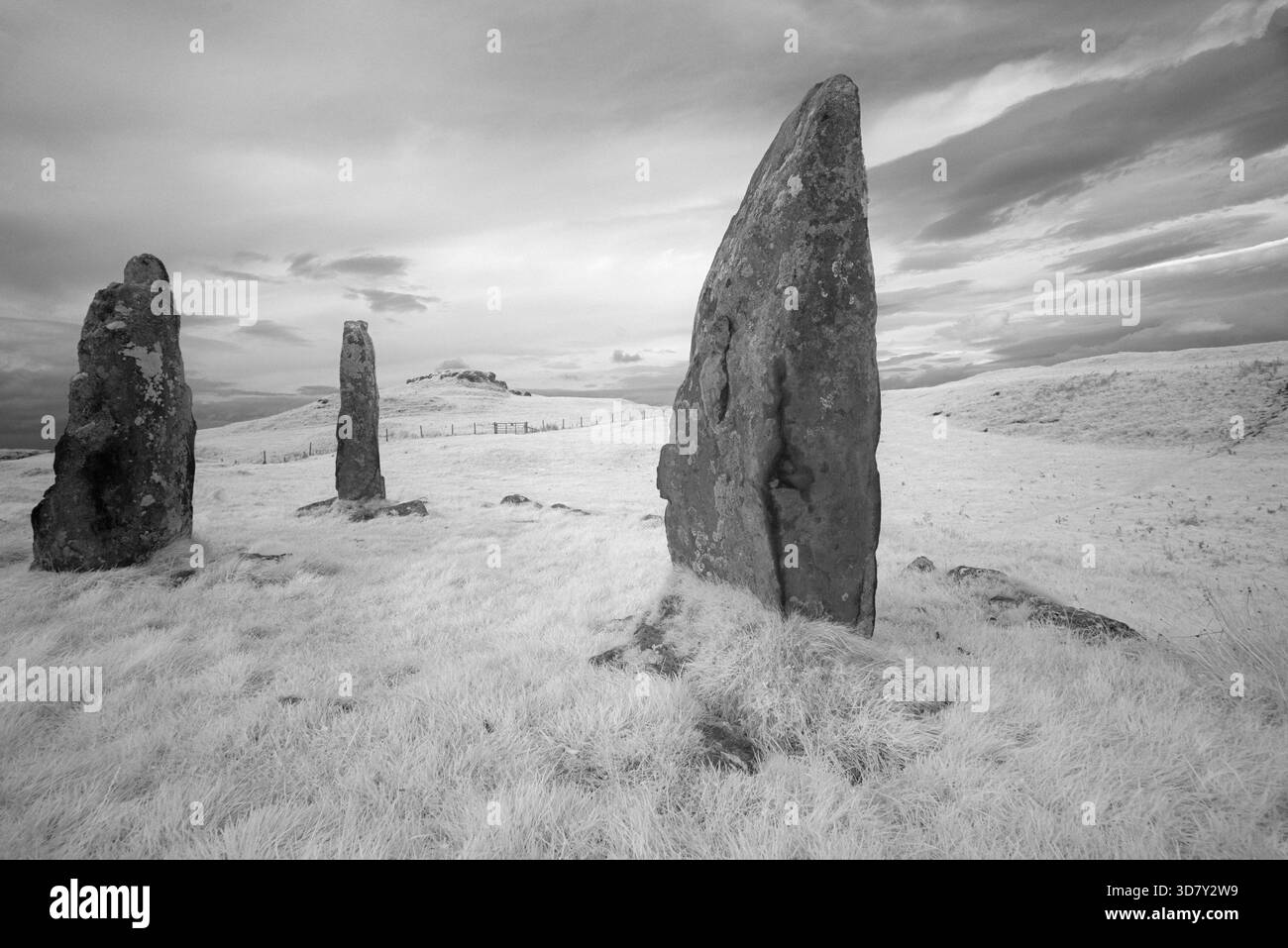 Glengorm Standing Stones, Isle of Mull, Schottland Stockfoto
