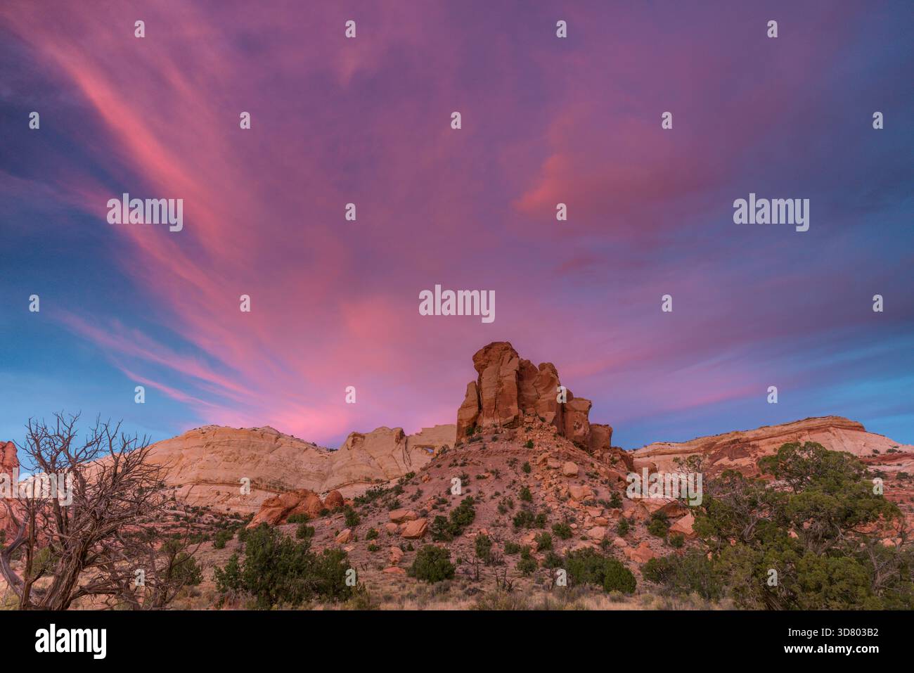Abenddämmerung, Muley Twist Canyon, Capitol Reef National Park, Utah Stockfoto