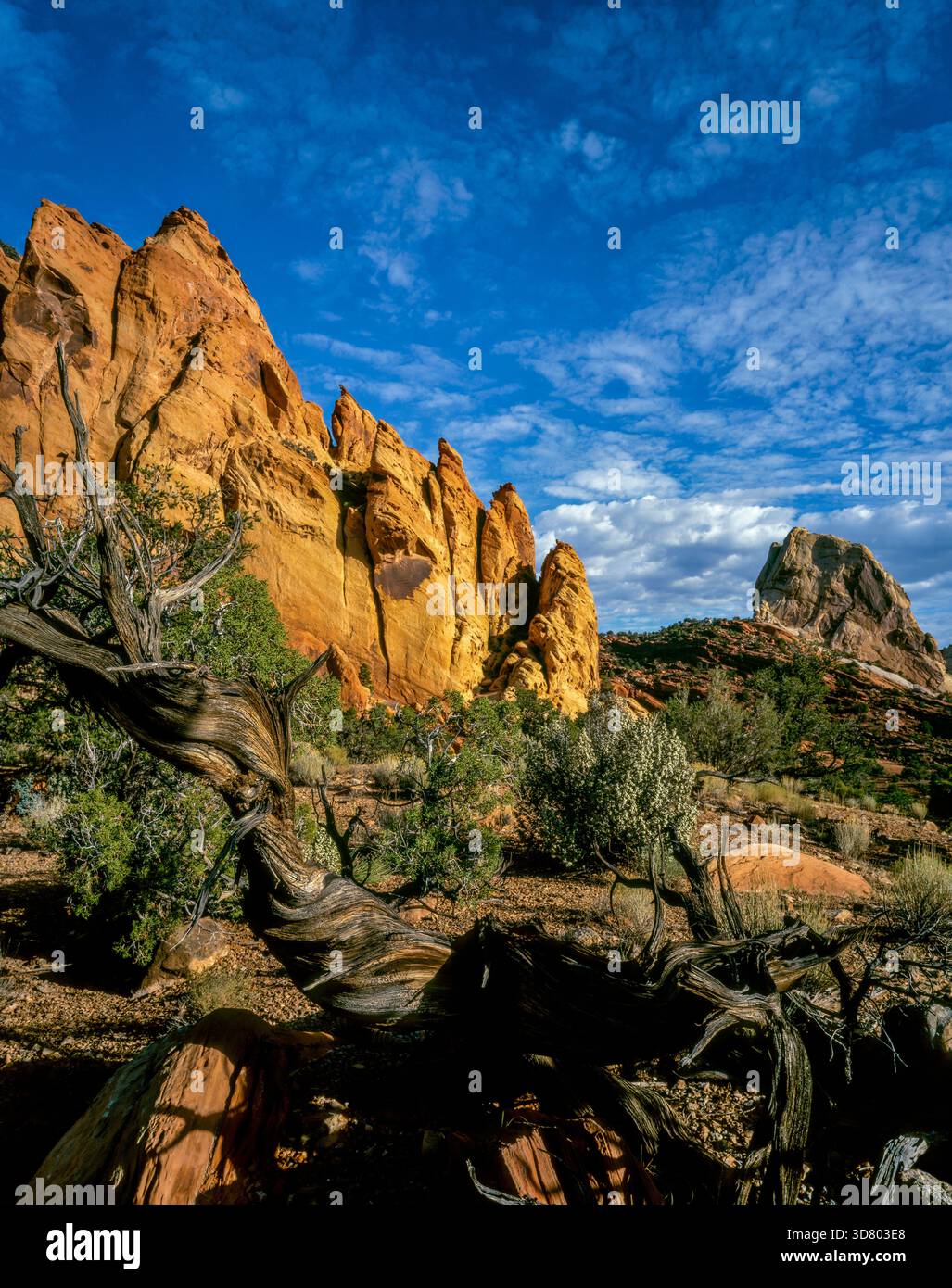 Muley Twist Canyon, Capitol Reef National Park, Utah Stockfoto