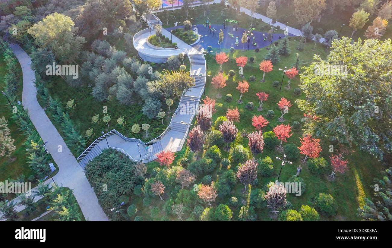 Die herbstliche Blattfarbe kommt, immergrüne Olivenbäume, wacholdersträucher und Laubbäume wachsen entlang des Fußgängerweges auf beiden Seiten des Parks. Luftaufnahme VI Stockfoto