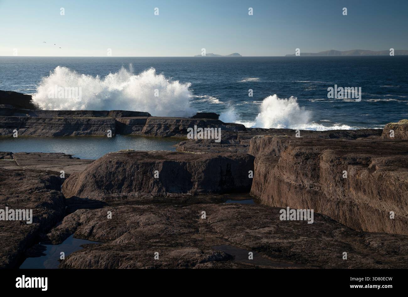 Große Wellen an der Küste im County Kerry in Irland529+09 Stockfoto