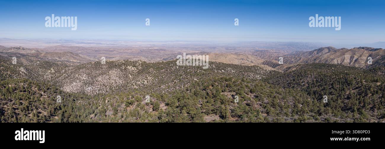 Mit grünen Kiefern bedeckte Hänge der San Bernadino Mountains in Südkalifornien Stockfoto