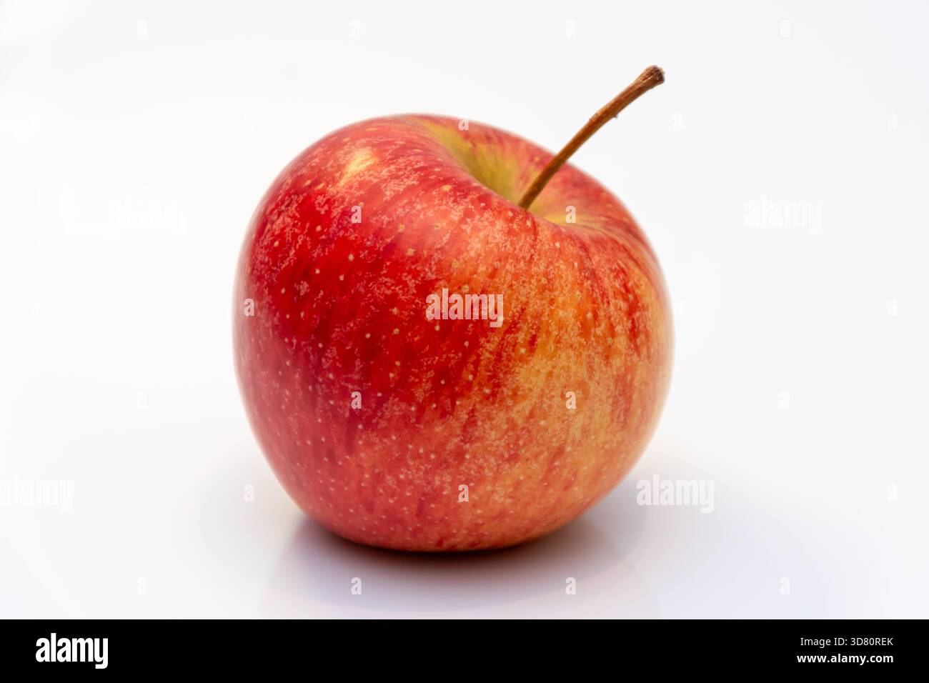 Ein reifer roter Apfel sitzt auf einer weißen Oberfläche in sanfter Studiobeleuchtung Stockfoto