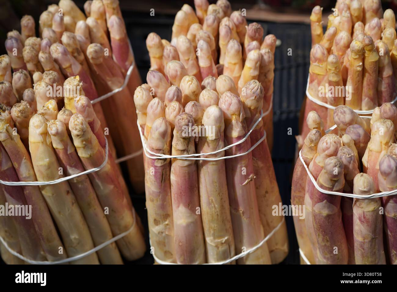 Vista de cerca de espárragos blancos en el mercado. Stockfoto