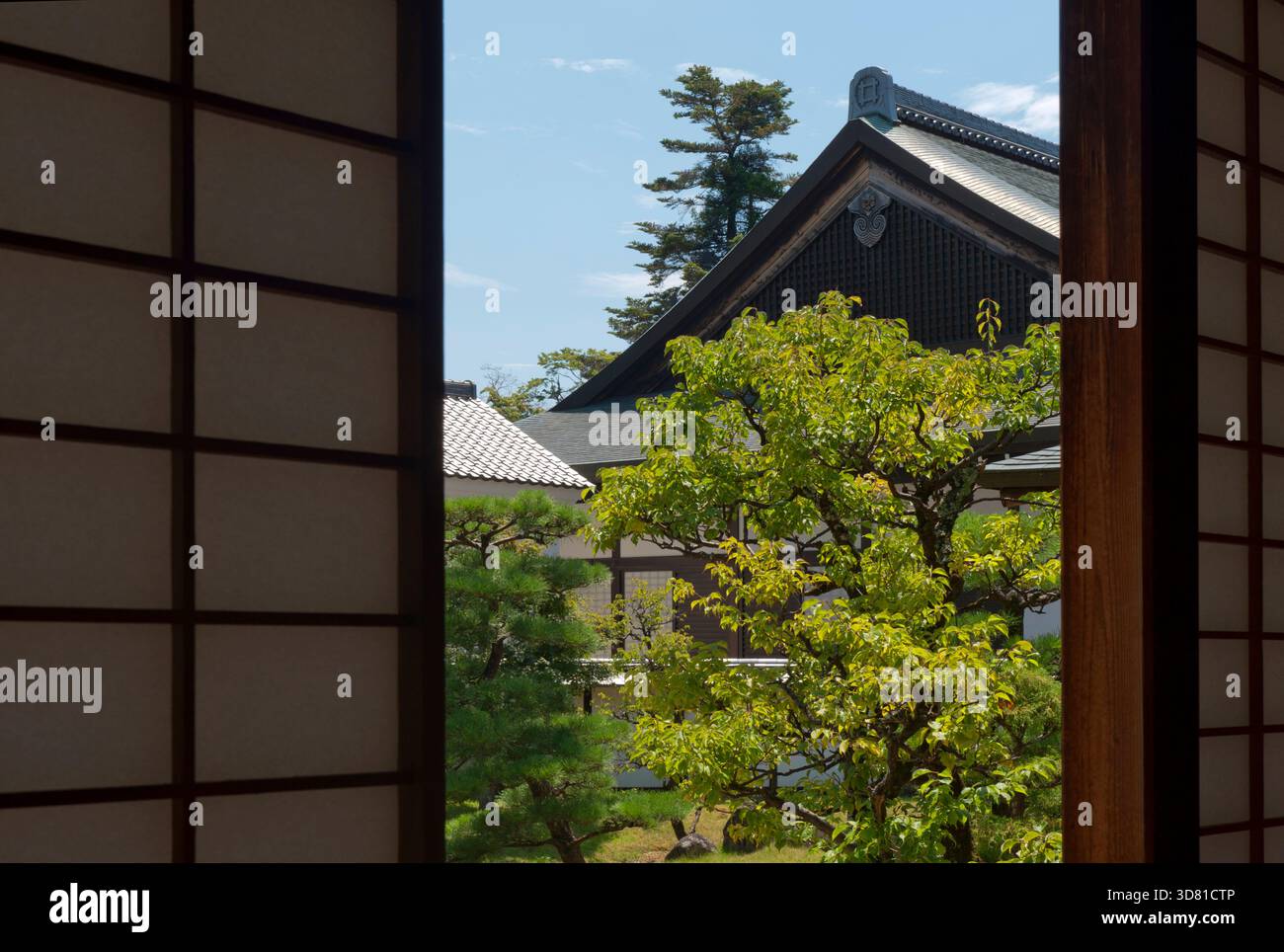 Blick durch offene Shoji-Schiebewände eines japanischen Landschaftsgartens im Hikone Castle Museum, Shiga, Japan. Stockfoto