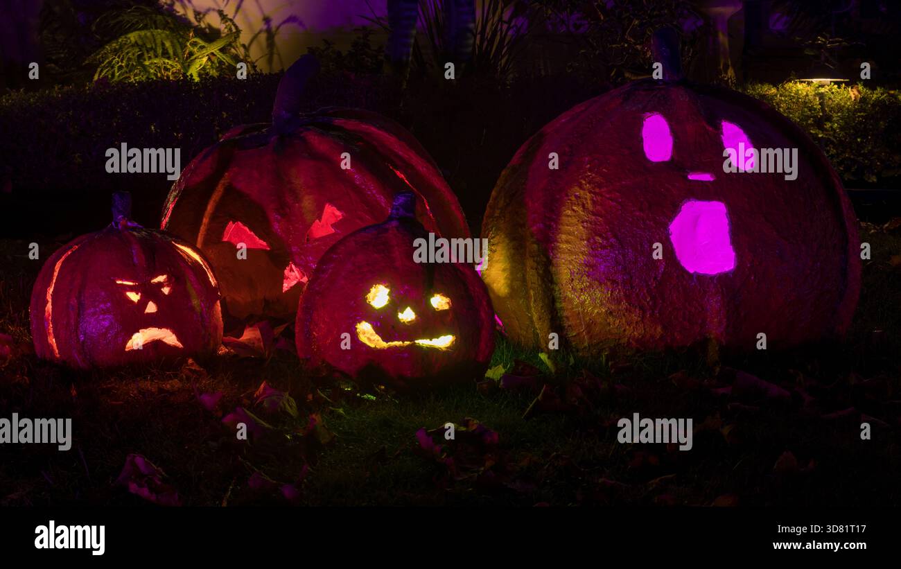 Handgefertigte Jack-o-Laternen mit Höhlen leuchten während der Halloween-Saison im Dunkeln. Stockfoto