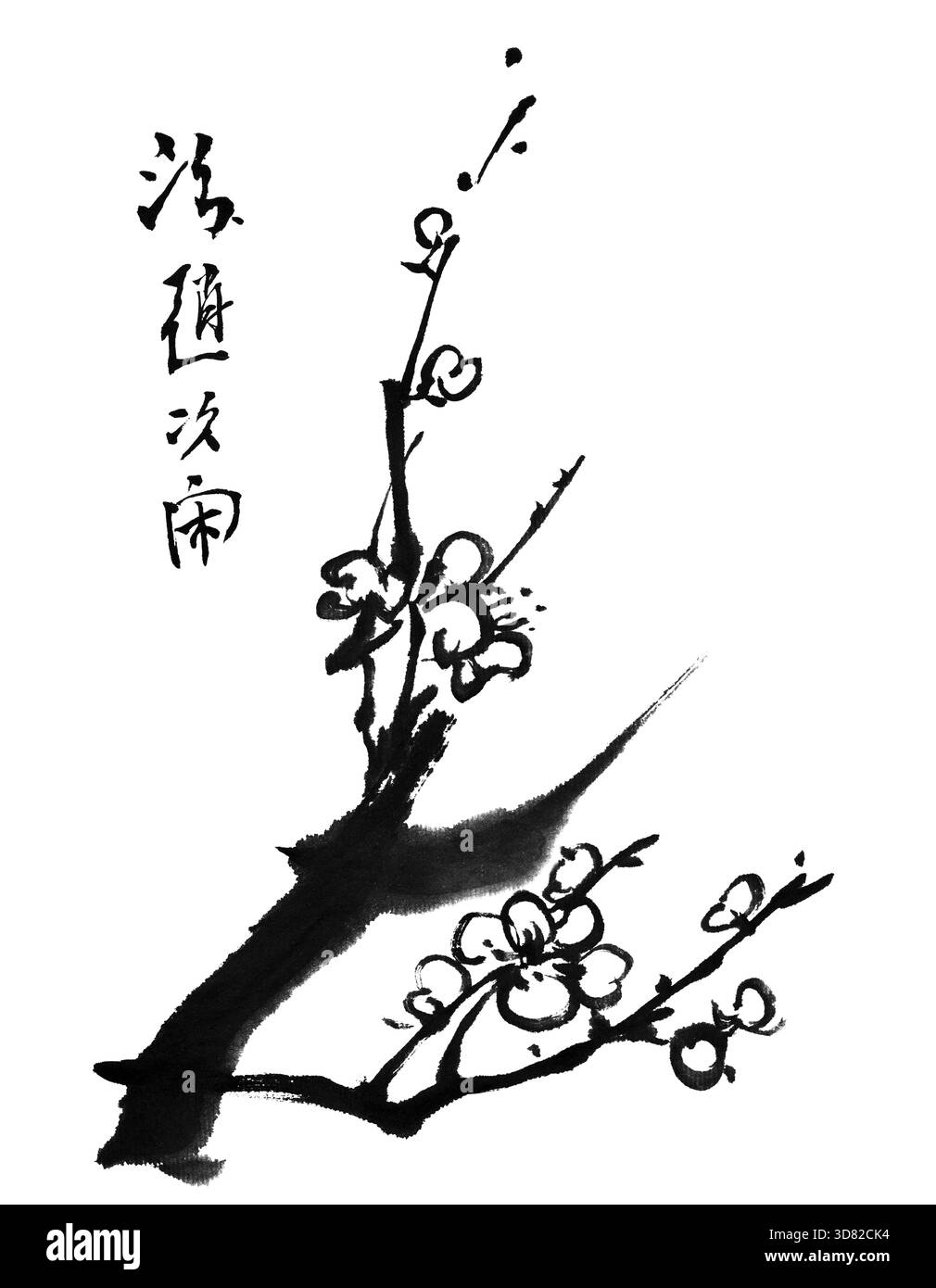 Chinesisches Gemälde von Blumen, Pflaumenblüte, auf weißem Hintergrund Stockfoto