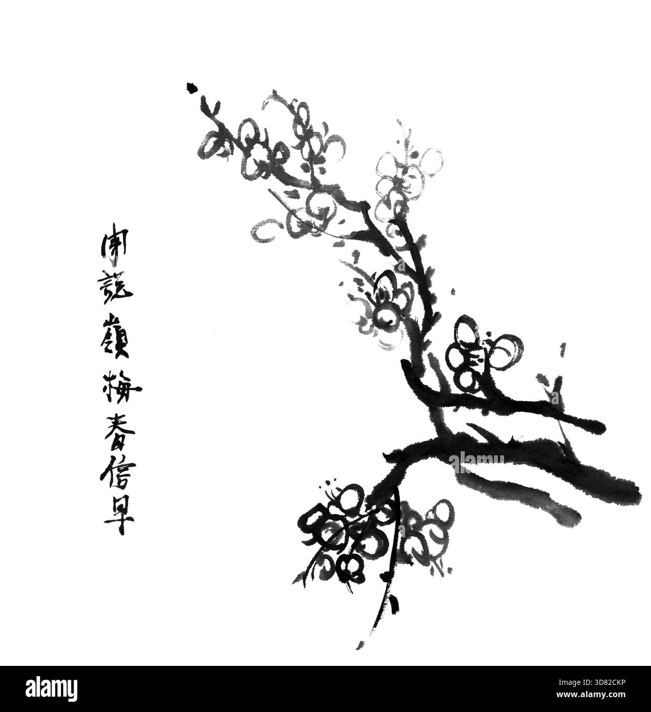 Chinesisches Gemälde von Blumen, Pflaumenblüte, auf weißem Hintergrund Stockfoto