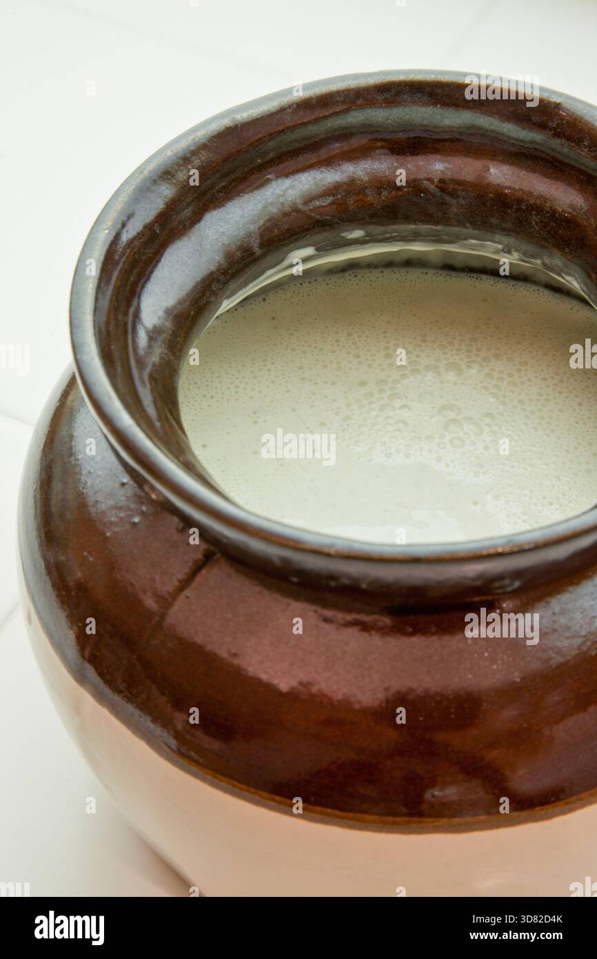 Geschirrbecher mit schaumigem Sauerteigvorspeise, der als Grundlage für die Herstellung von Sauerteigbrot verwendet wird. Stockfoto