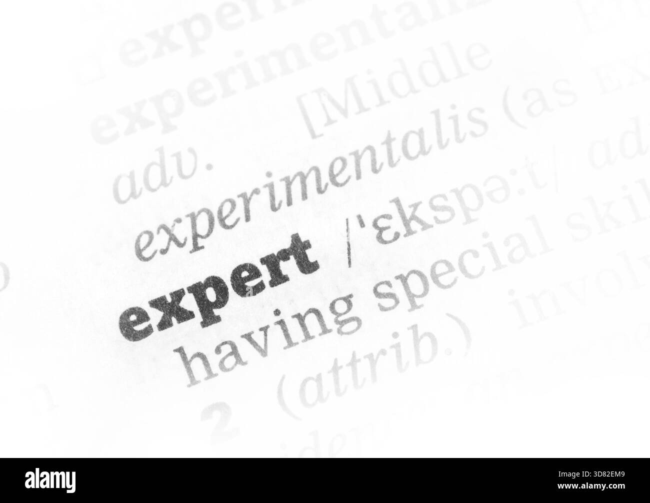 Expert Wörterbuchdefinition Einzelwort mit soft focus Stockfoto