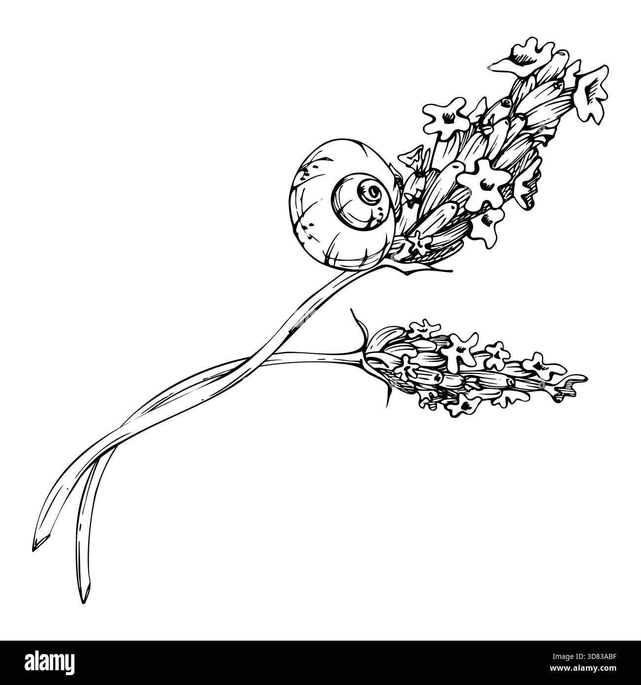Weiße Gartenschnecke, die sich auf den Blütenstielen aus lavandula-Lavendelblüten zusammengerollt hat, ländliche Landschaft der französischen Provence. Isolierte botanische Illustrationshand Stock Vektor