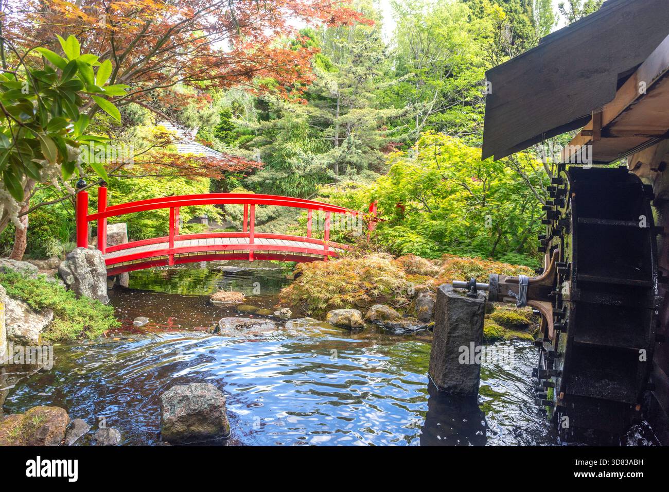 Japanischer Garten in Royal Tasmanian Botanical Gardens, Queens Domain, Hobart, Tasmanien, Australien Stockfoto