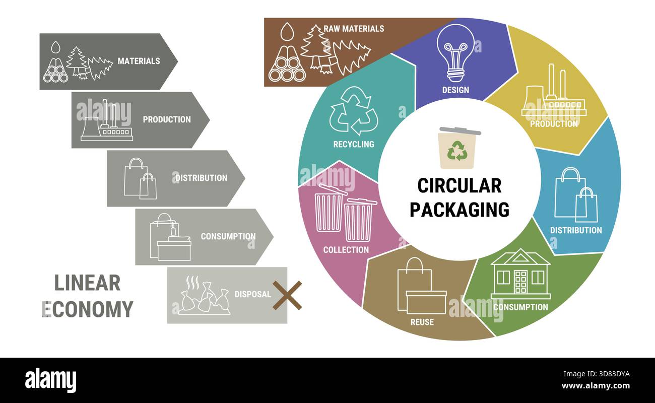 Vergleich der linearen und kreisförmigen Verpackungsökonomie-Infografik. Schema des Produktlebenszyklus vom Rohstoff über Produktion, Verbrauch und Recycling Stock Vektor