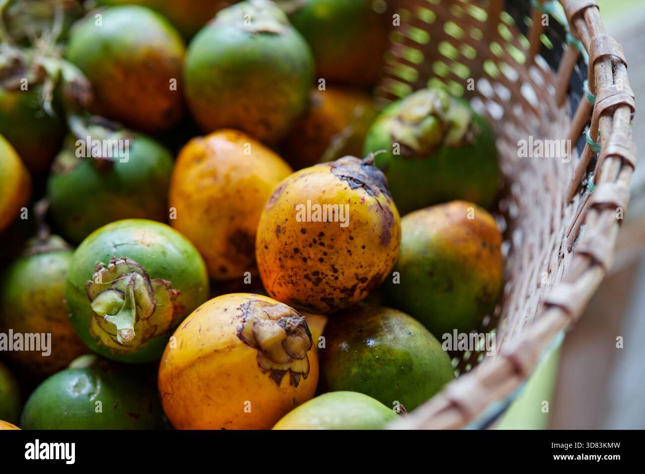 Nahaufnahme der Reifen und unreifen Betel- oder Areca-Nuss im Korb Stockfoto
