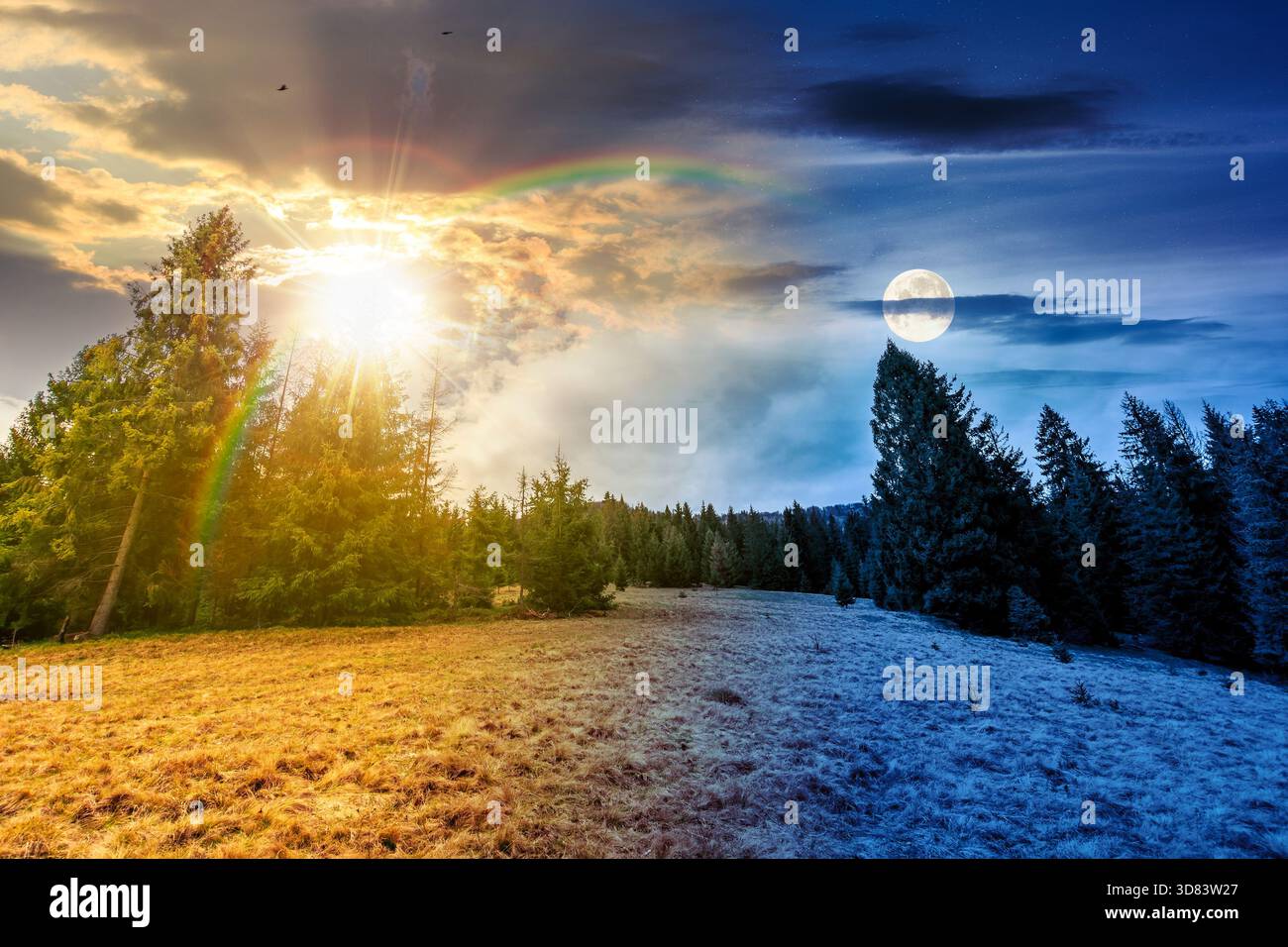 Wundervolle Landschaft im Frühling. Tag- und Nachtzeitwechsel. Eine Reihe von Fichtenbäumen auf einem Hügel mit Sonne und Mond. Wiese in verwitterter Gra Stockfoto