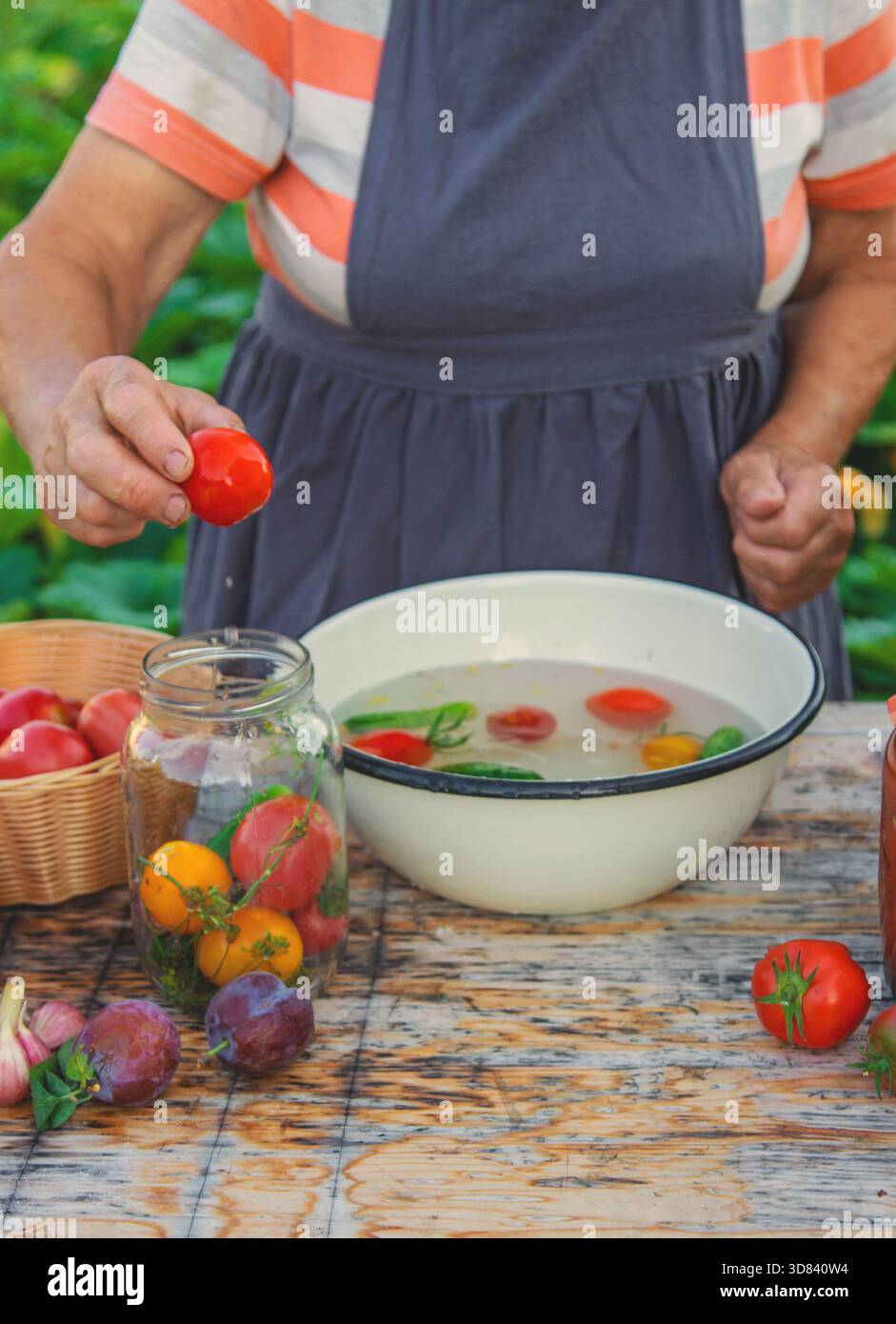 Ältere Frau, die Gemüse in Gläsern konservieren. Selektiver Fokus. Essen. Stockfoto