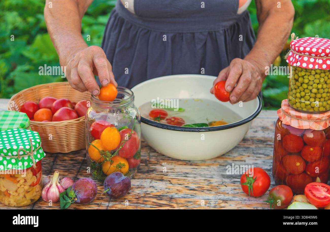 Ältere Frau, die Gemüse in Gläsern konservieren. Selektiver Fokus. Essen. Stockfoto