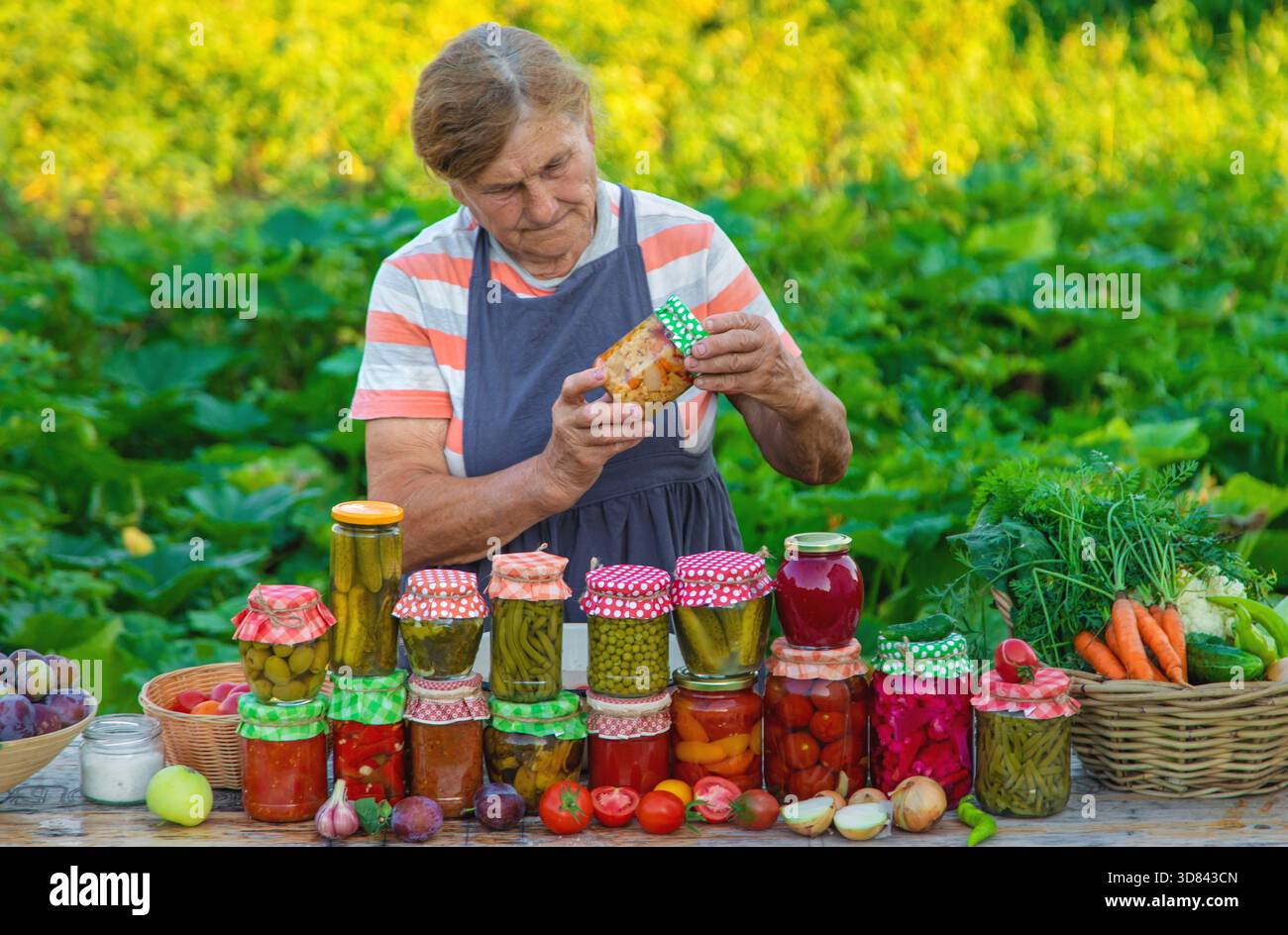 Ältere Frau, die Gemüse in Gläsern konservieren. Selektiver Fokus. Essen. Stockfoto