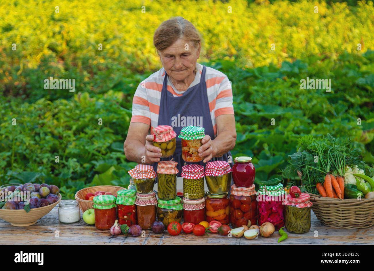 Ältere Frau, die Gemüse in Gläsern konservieren. Selektiver Fokus. Essen. Stockfoto