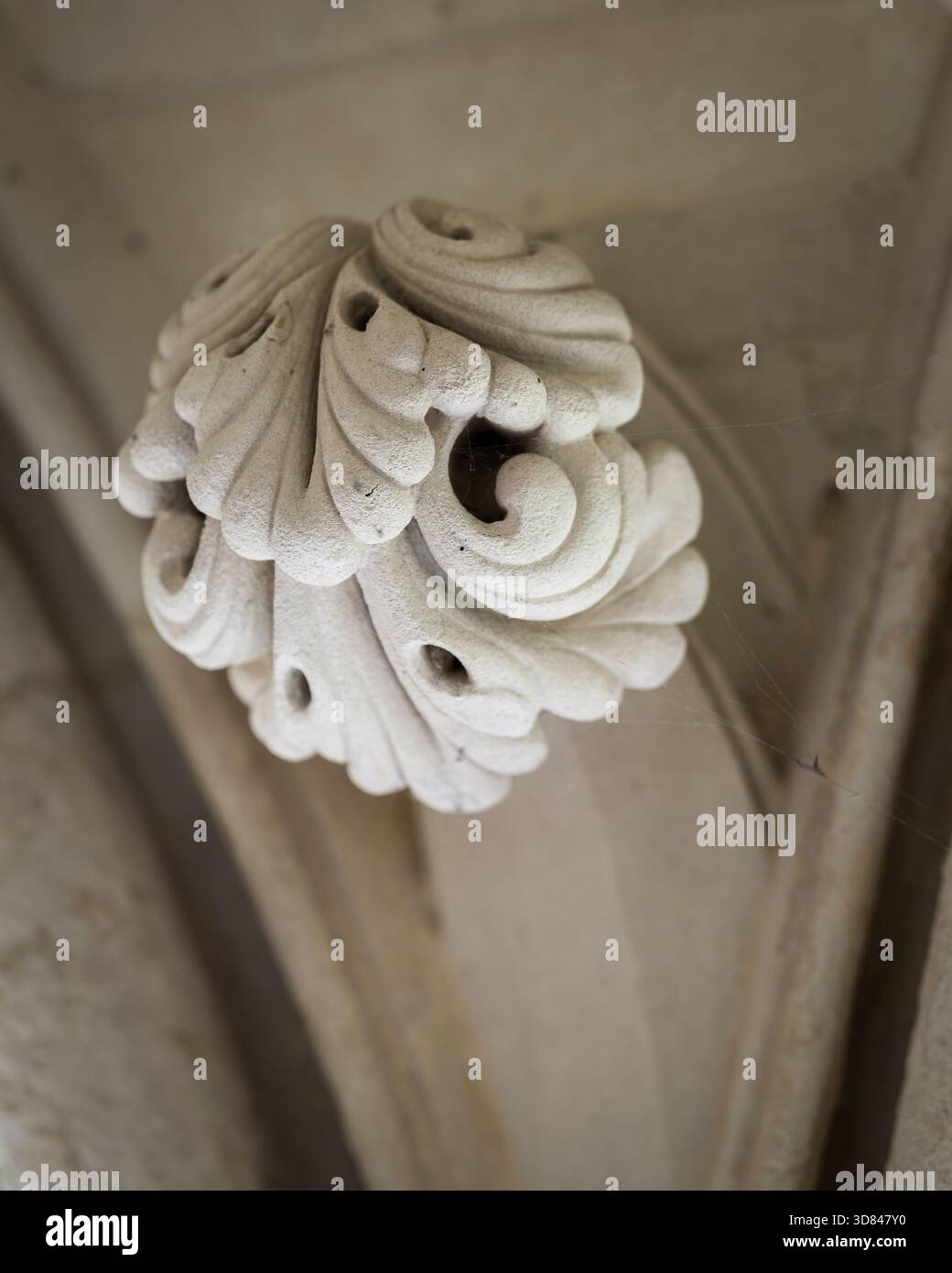Kunstvolle gotische Steinschnitzereien aus der Abtei Mont Saint-Michel. Kompliziertes mittelalterliches architektonisches Ornament mit Akanthus-Blattmuster Stockfoto