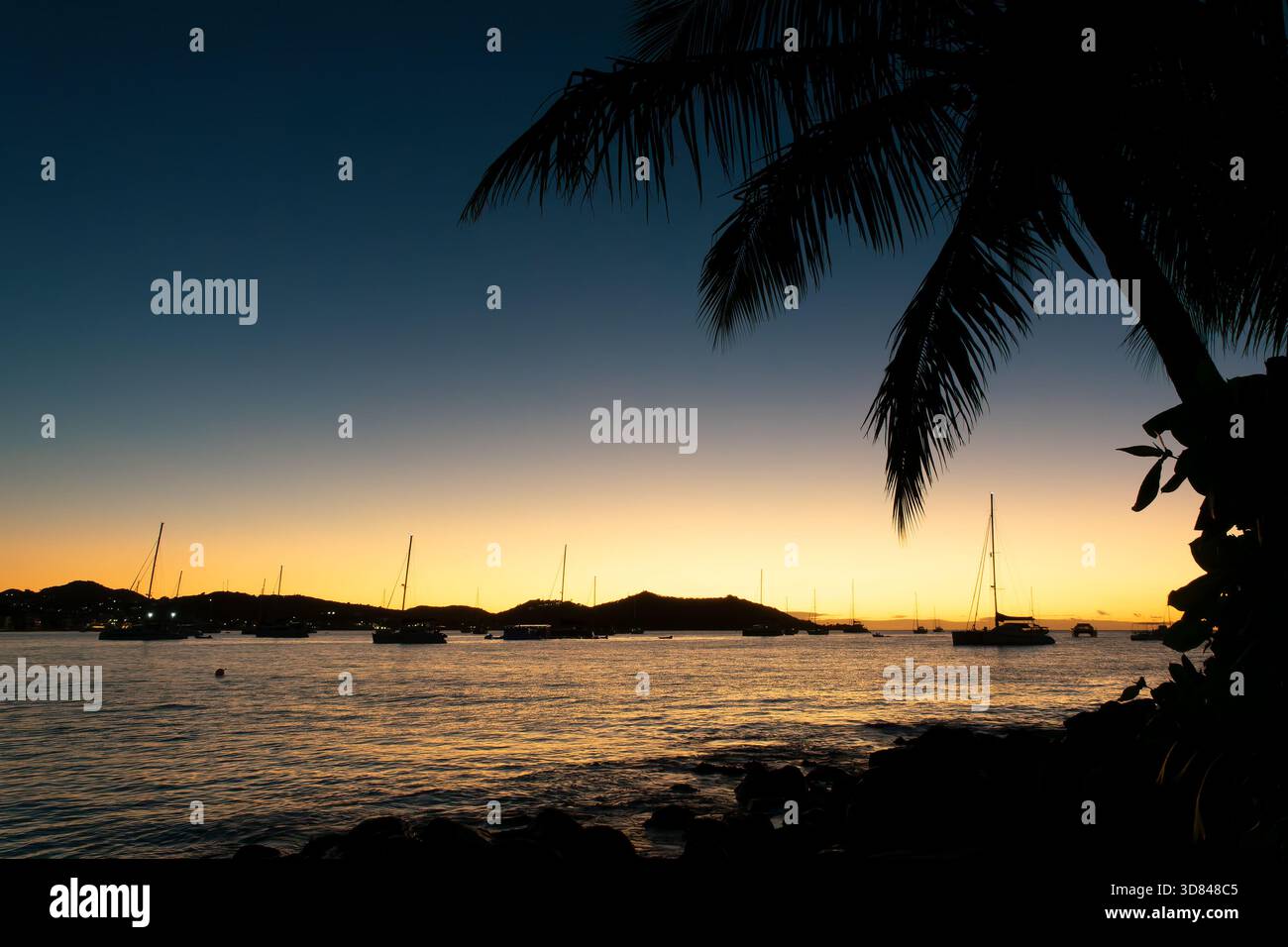 Silhouette einer Palme und Segelboote bei Sonnenuntergang in Grand Case, auf der Karibikinsel Saint Martin (Sint Maarten), Französisch-Westindien Stockfoto