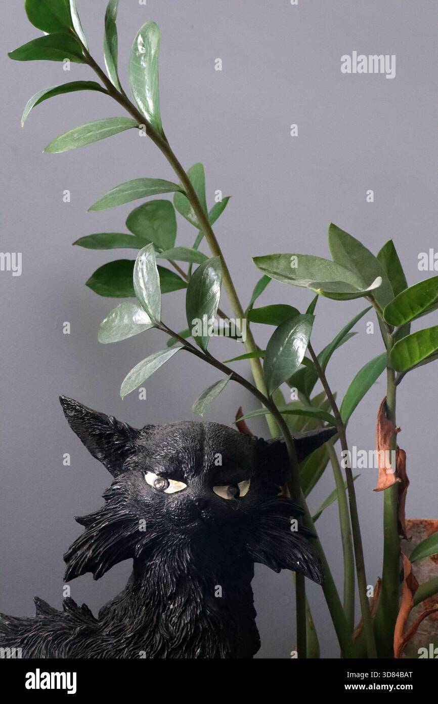 Geheimnisvolle, lustige Figur der schwarzen Katze inmitten von üppigem Grün Stockfoto