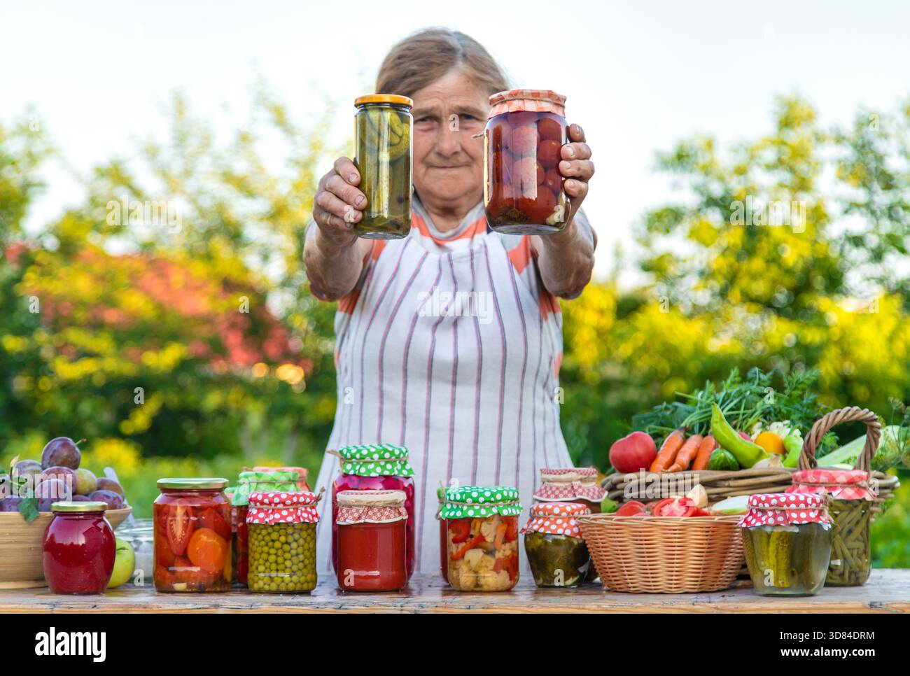 Ältere Frau, die Gemüse in Gläsern konservieren. Selektiver Fokus. Essen. Stockfoto
