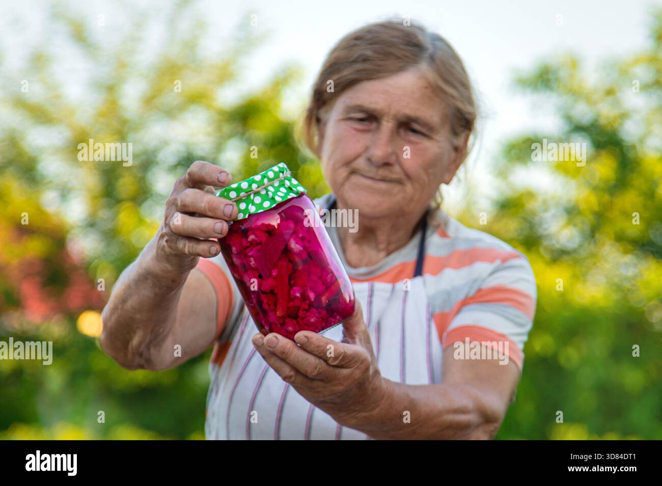 Ältere Frau, die Gemüse in Gläsern konservieren. Selektiver Fokus. Essen. Stockfoto