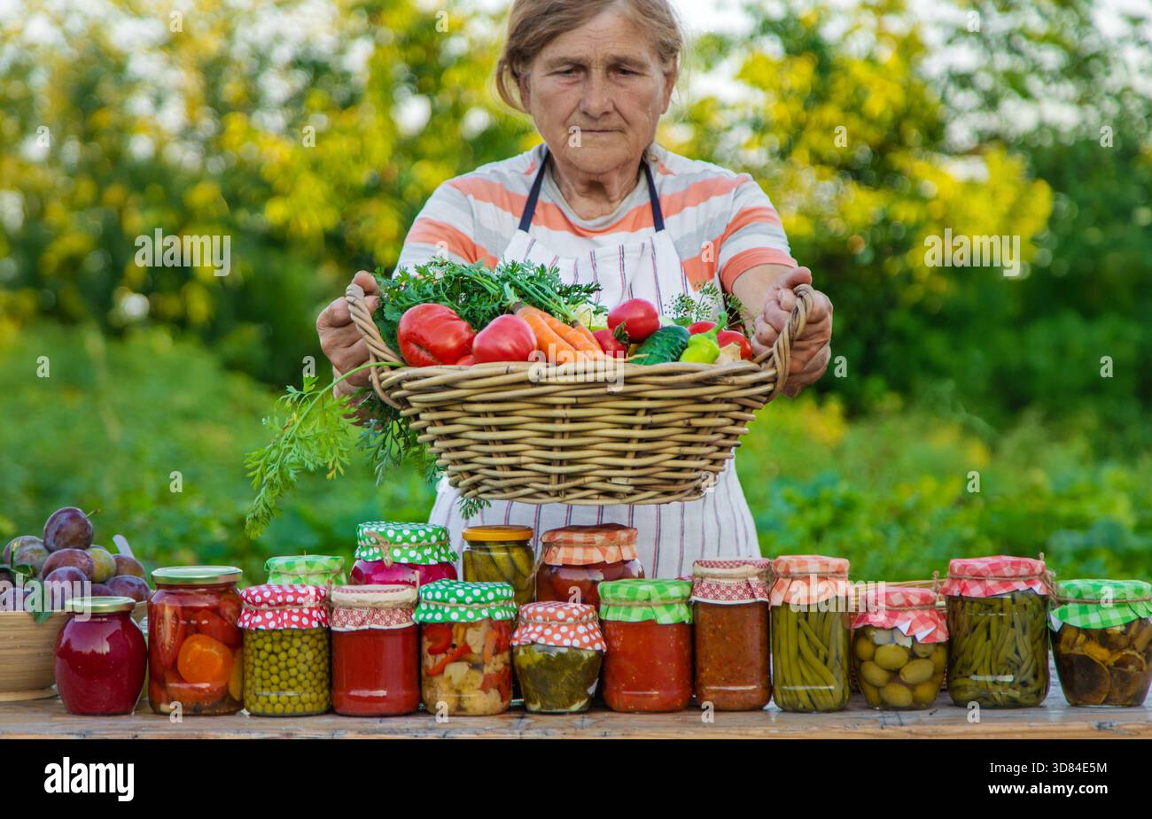 Ältere Frau, die Gemüse in Gläsern konservieren. Selektiver Fokus. Essen. Stockfoto