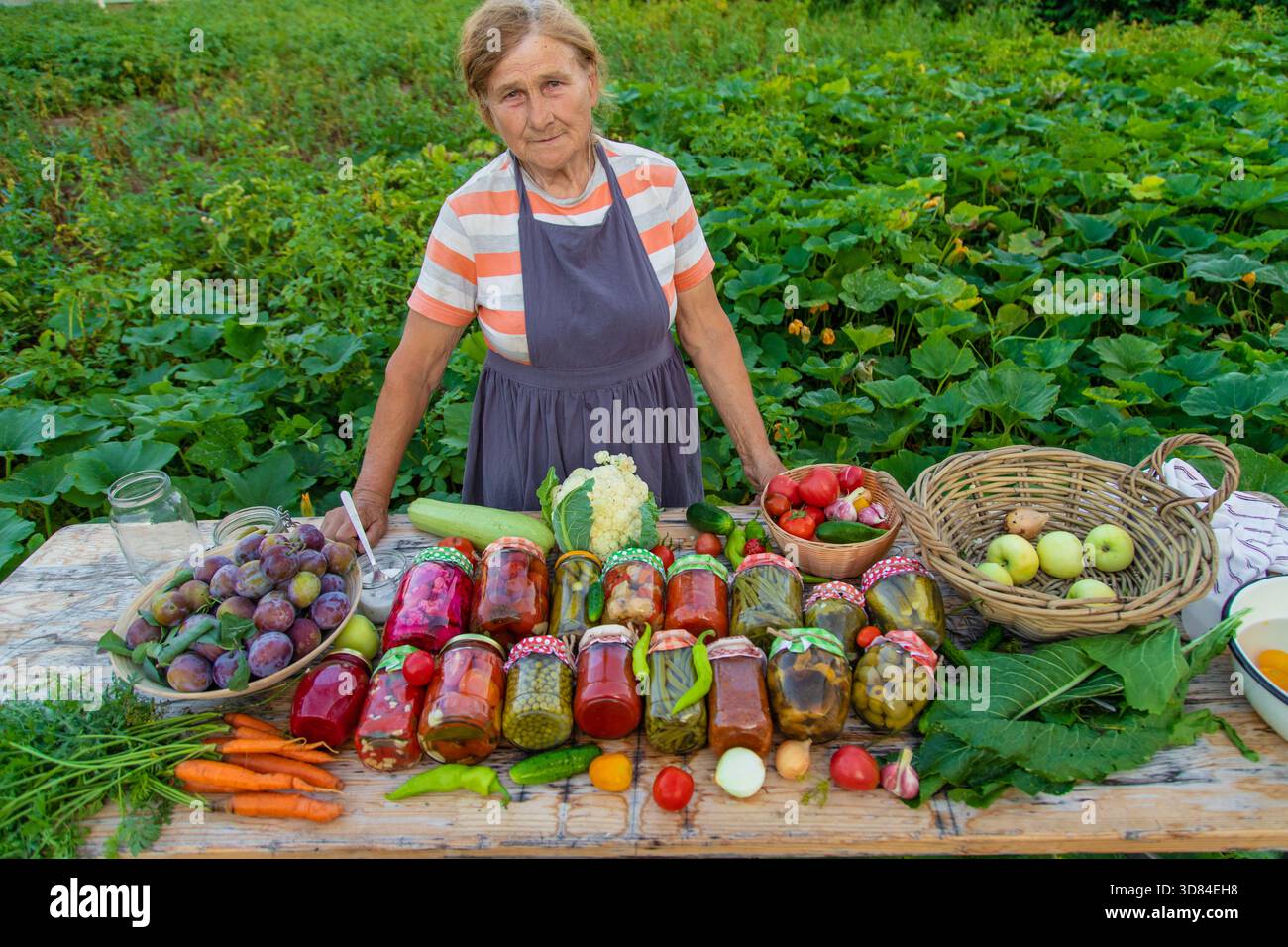 Ältere Frau, die Gemüse in Gläsern konservieren. Selektiver Fokus. Essen. Stockfoto