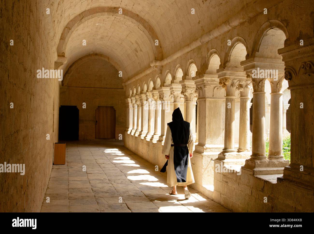 Frankreich, Vaucluse, Parc Naturel Regional du Luberon, Gemeinde Gordes, Zisterzienserabtei Notre Dame de Senanque aus dem 12. Jahrhundert, Kreuzgang Stockfoto