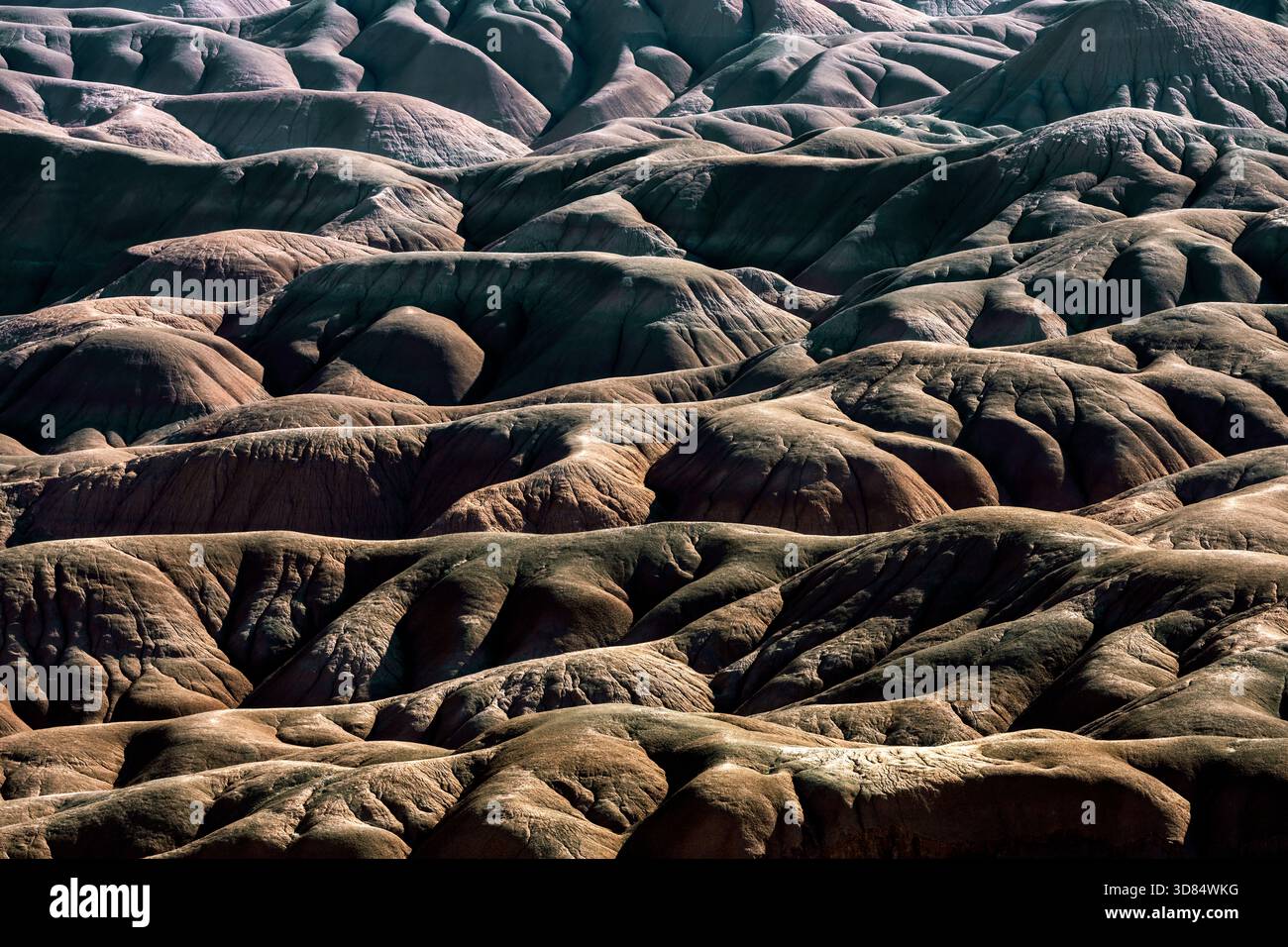 Erstaunliche Landschaft von Ganado - Kapitelland im Nordosten von Arizona, USA. Stockfoto