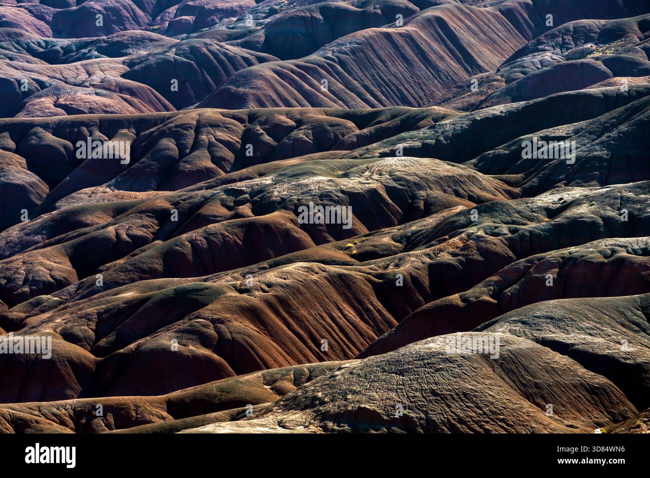Erstaunliche Landschaft von Ganado - Kapitelland im Nordosten von Arizona, USA. Stockfoto