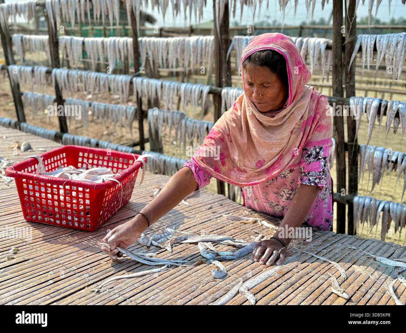 Weibliche Arbeiterin, die Fische zum Trocknen sortiert, Fischfarm, Cox's Bazar, Bangladesch - Smartphone-aufgenommenes Stockfoto