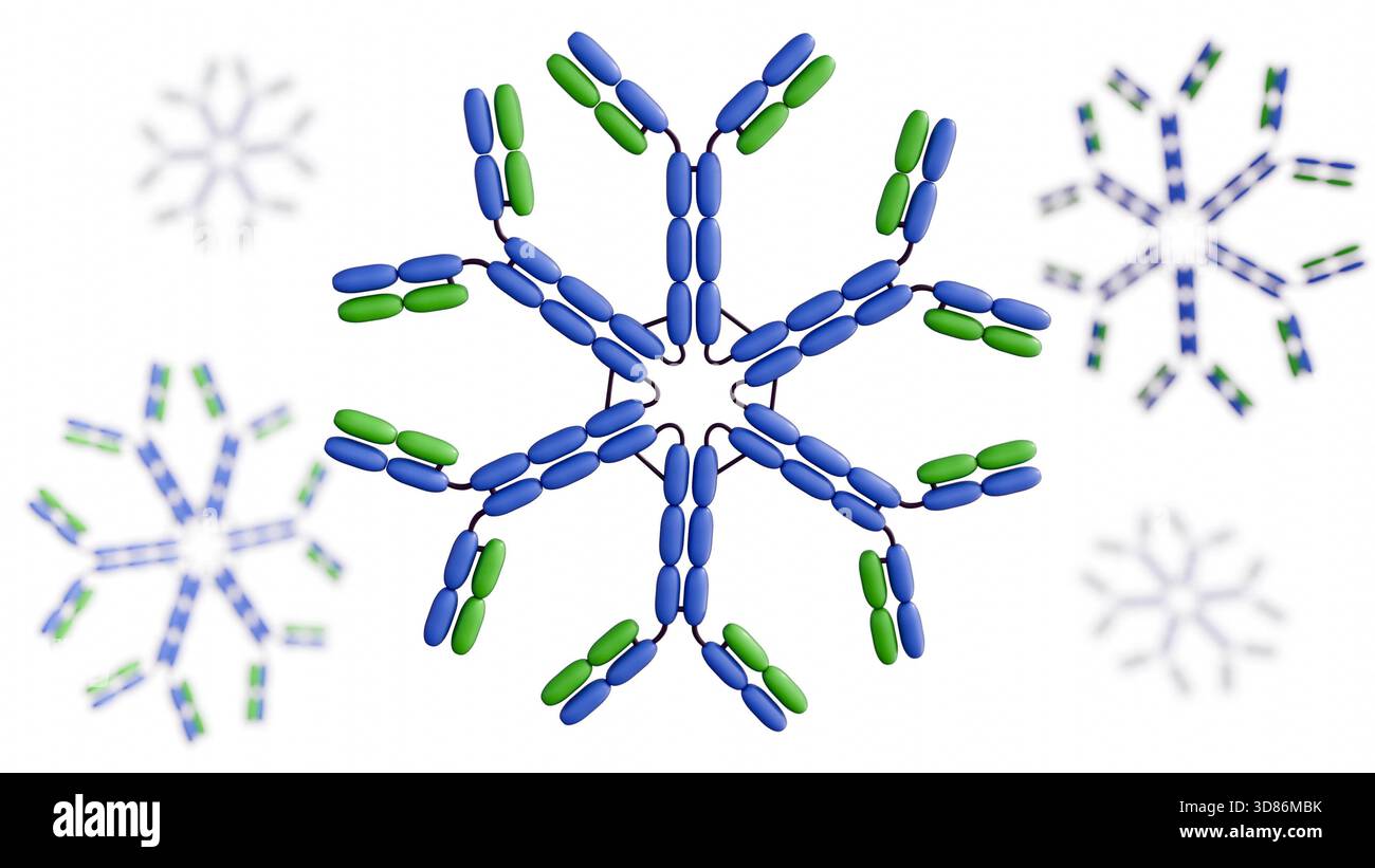 Ein detailliertes 3D-Diagramm des IgM-Hexamers, einer Antikörperform, die von B-Zellen sezerniert wird und für die frühe Immunantwort von entscheidender Bedeutung ist. Stockfoto