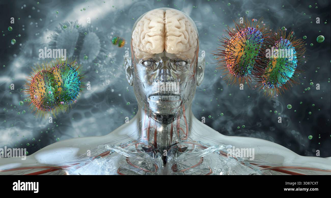 Zur Darstellung von Neisseria meningitidis, einem gramnegativen Diplokokkenbakterium. Theis-Bakterium kann Meningitis, Meningokokken-Krankheit und Sepsis verursachen Stockfoto