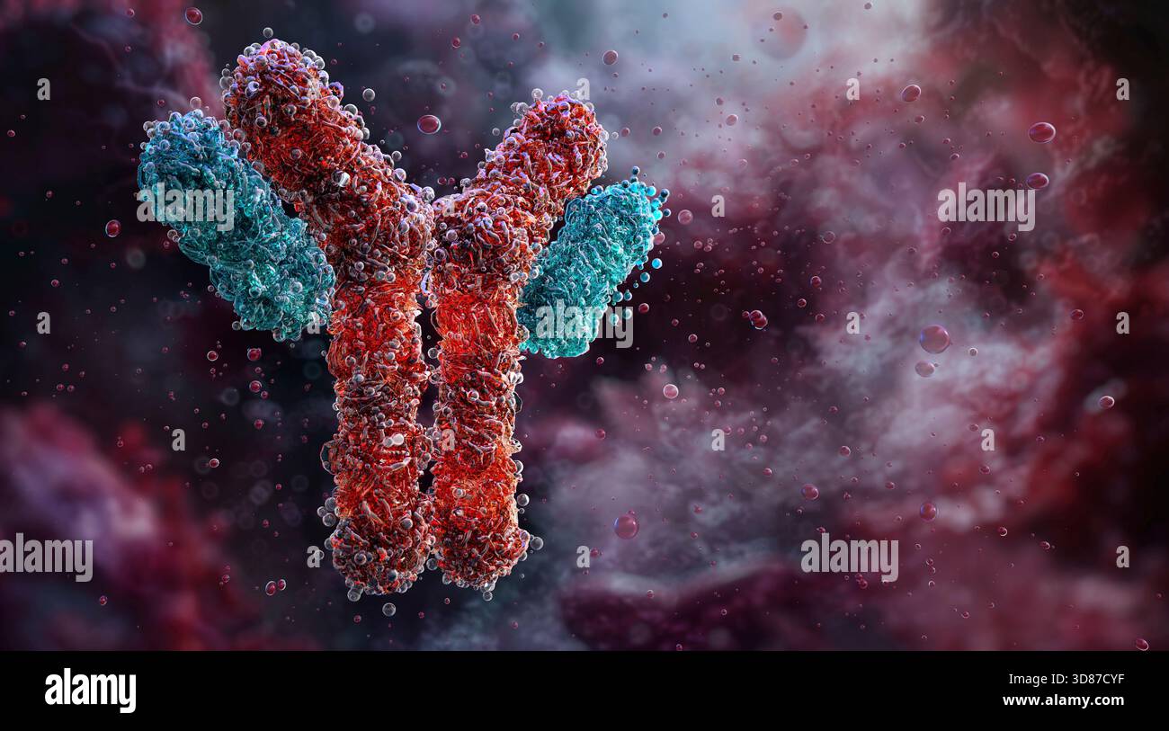 Abbildung eines Antikörpermoleküls (Immunglobulin) mit Y-förmiger Struktur und Antigen-Bindungsstellen. Stockfoto
