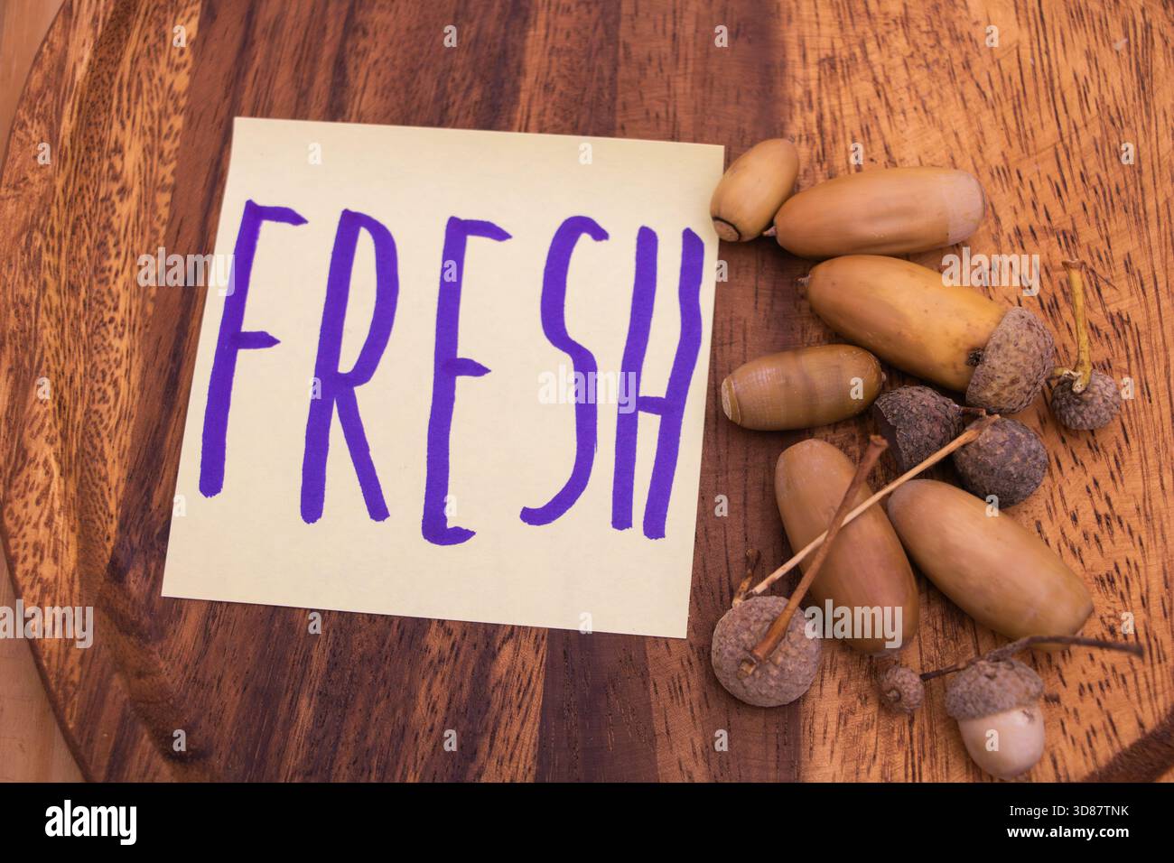 Frische Eicheln auf hölzernem Hintergrund - natürliches Saatgutkonzept Stockfoto