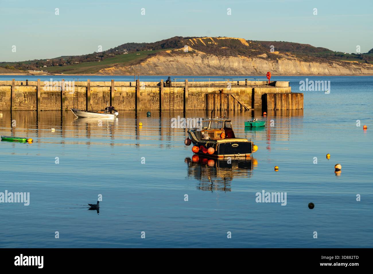 Malerischer Blick auf den Hafen in Lyme Regis während der goldenen Stunde, mit verankerten Booten und warmes Sonnenlicht reflektiert auf dem Wasser, Dorset, Großbritannien. Stockfoto