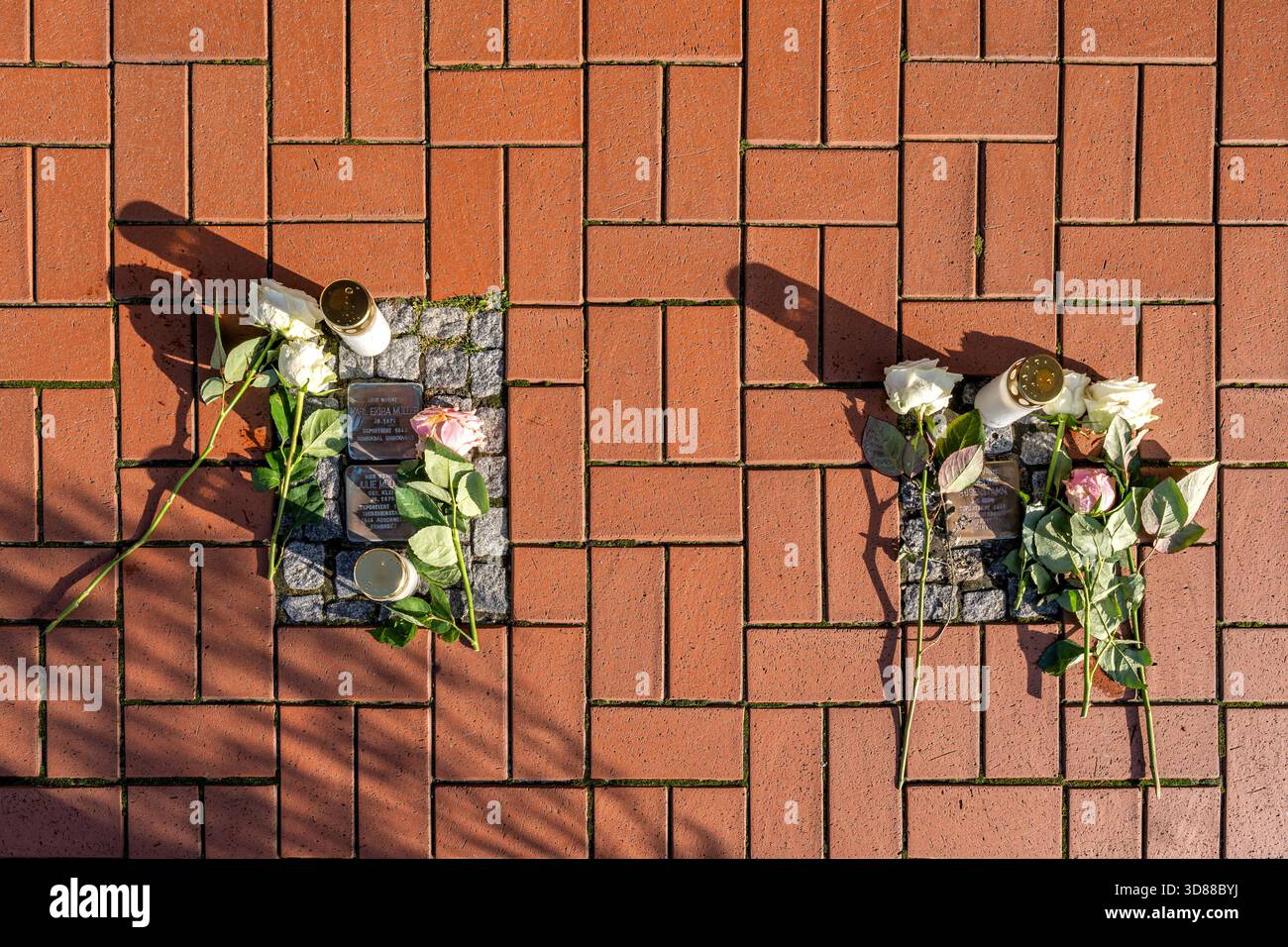 Stolperstein (kopfsteingepflasterte Gedenkstätte für ein individuelles Opfer des Nationalsozialismus) Stockfoto