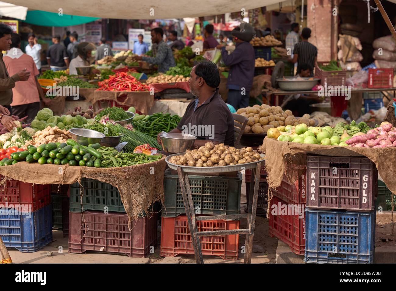 Straßenmarkt Indien Stockfoto