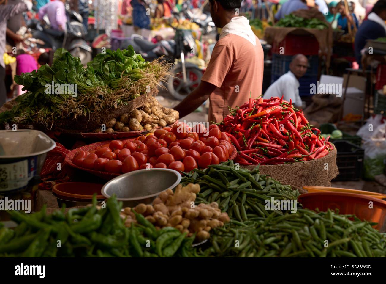 Straßenmarkt Indien Stockfoto